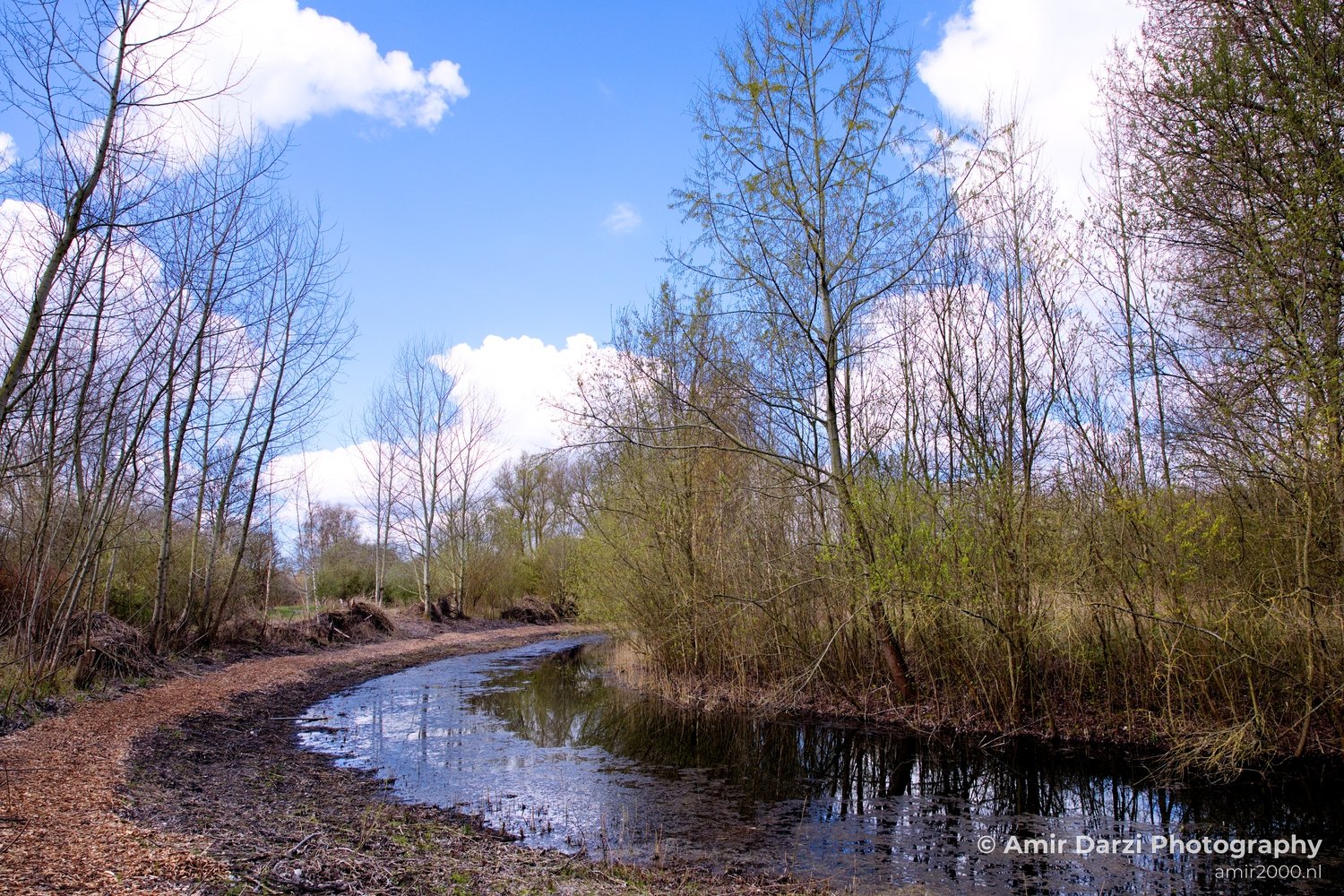 Spring colors nature Landscape in Nature Landscape Photography Photo 32