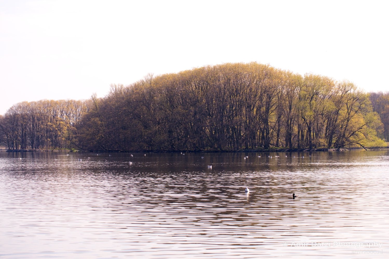 Spring colors nature Landscape in Nature Landscape Photography Photo 35