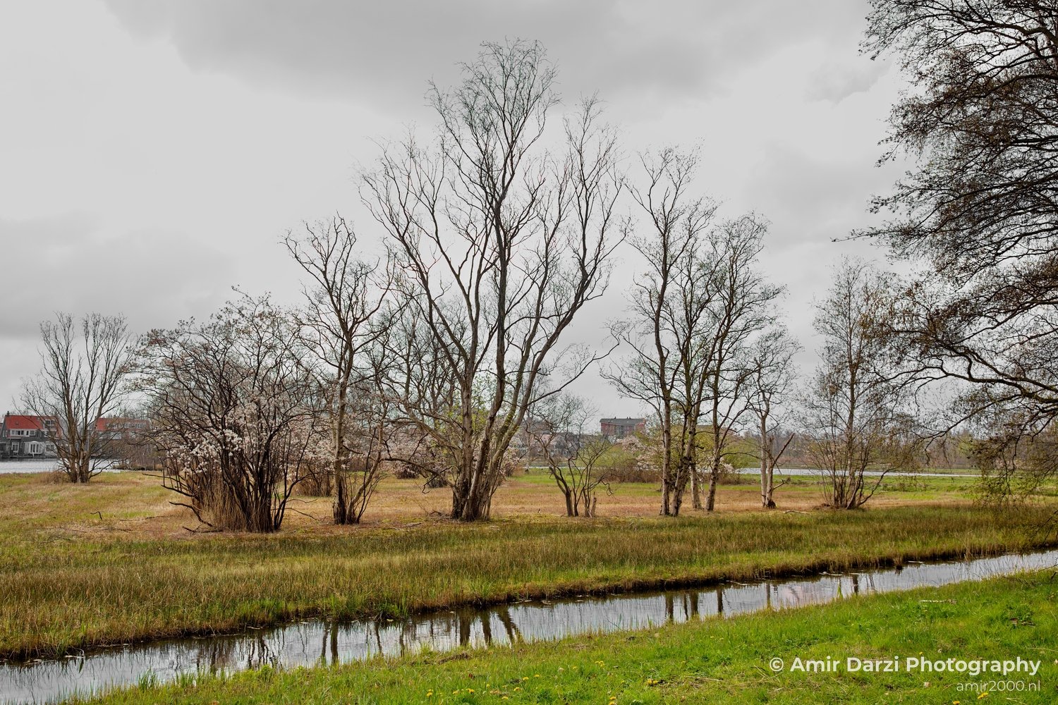 Spring colors nature Landscape in Nature Landscape Photography Photo 44