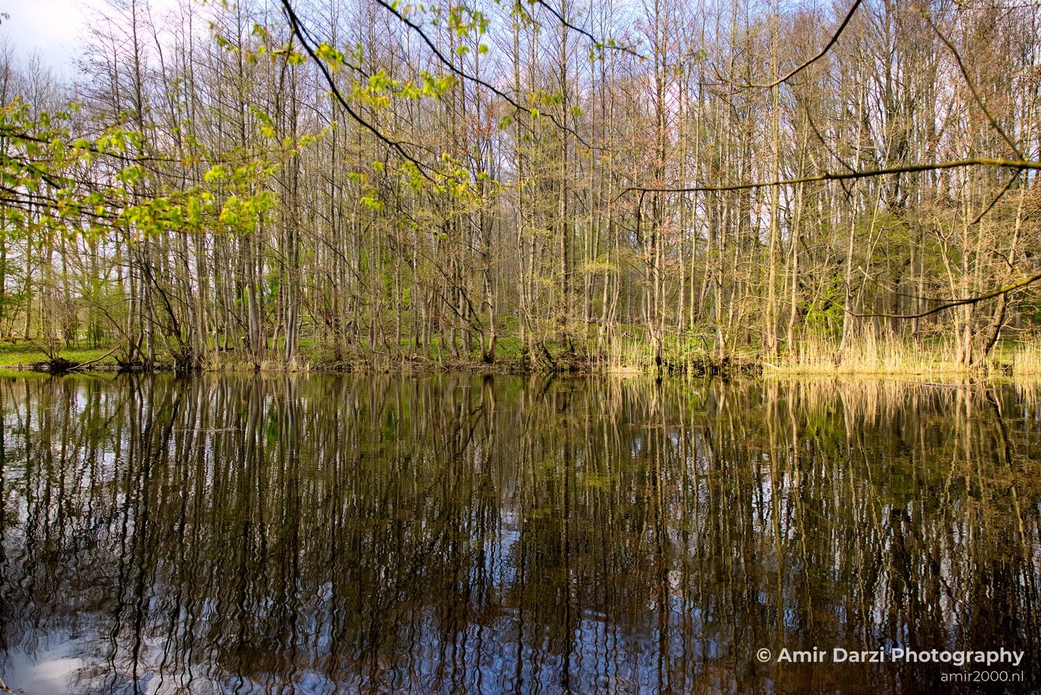 Spring colors nature Landscape in Nature Landscape Photography Photo 46