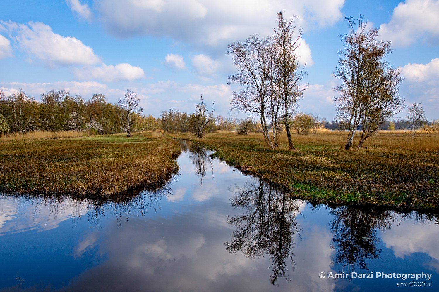 Spring colors nature Landscape in Nature Landscape Photography Photo 48