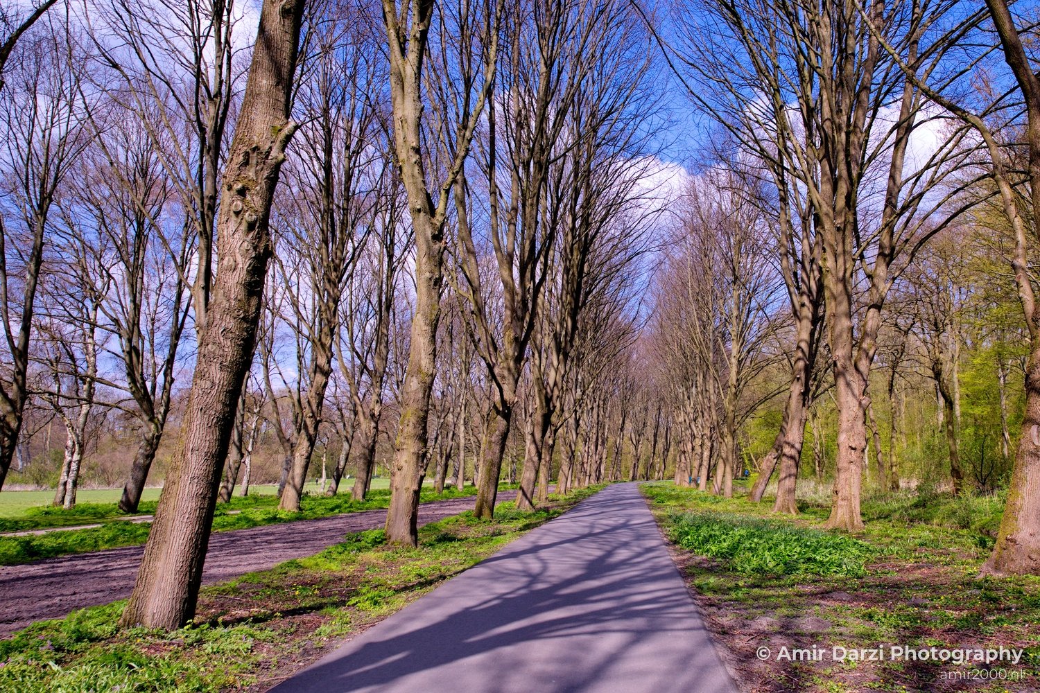 Spring colors nature Landscape in Nature Landscape Photography Photo 50