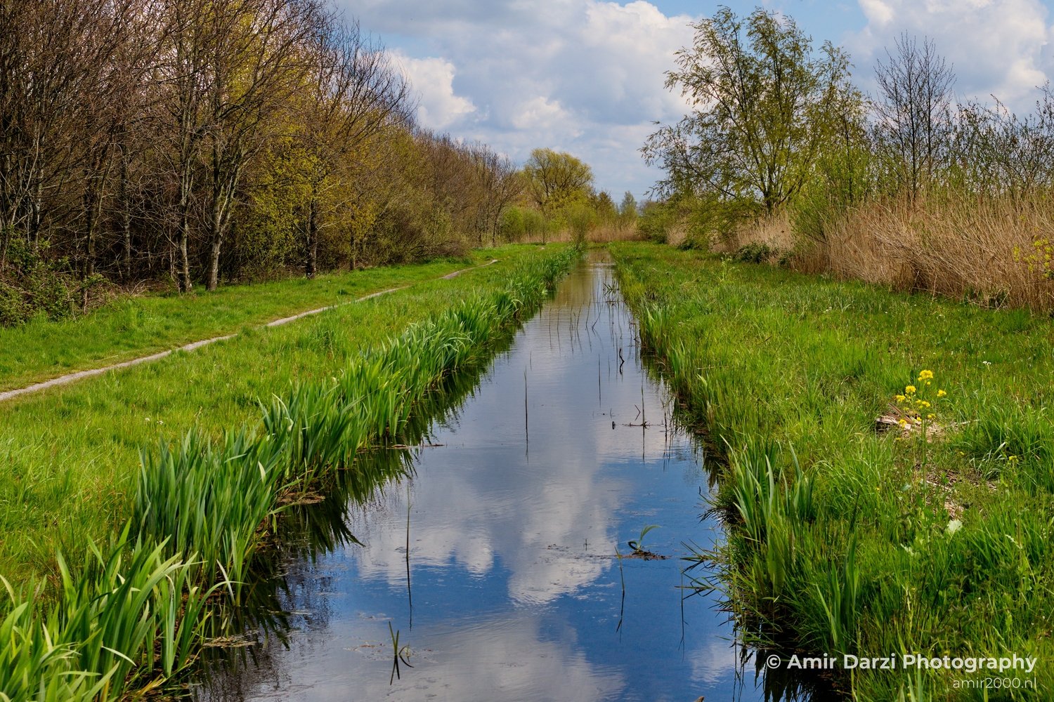 Spring colors nature Landscape in Nature Landscape Photography Photo 53