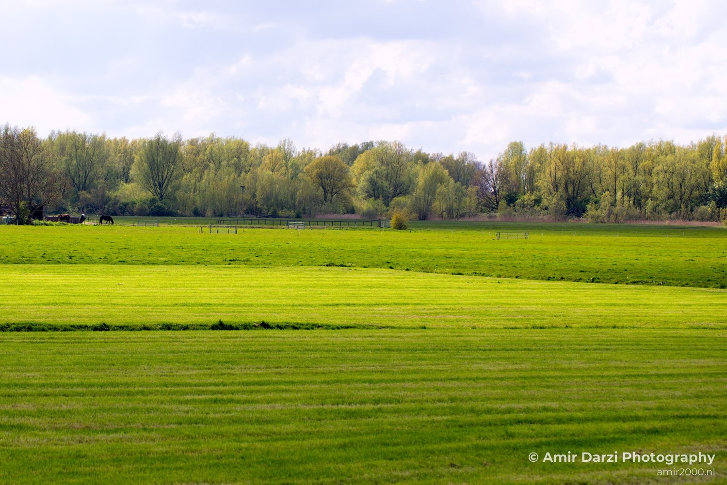 Spring colors nature Landscape in Nature Landscape Photography Photo 56