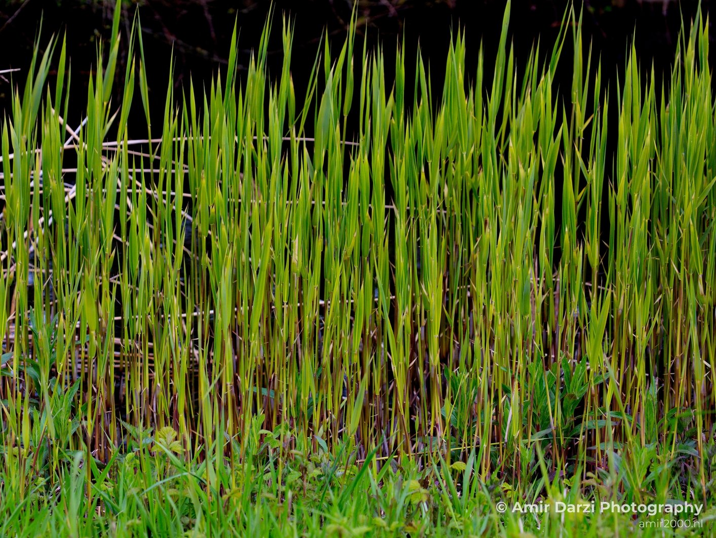 Spring colors nature Landscape in Nature Landscape Photography Photo 60