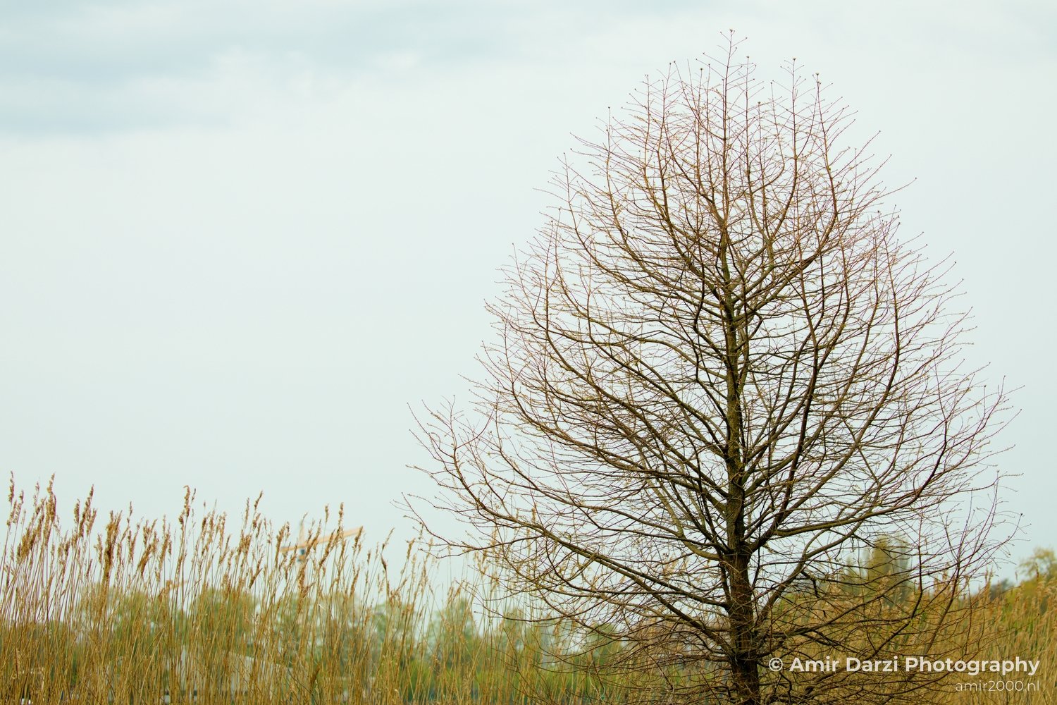 Spring colors nature Landscape in Nature Landscape Photography Photo 61