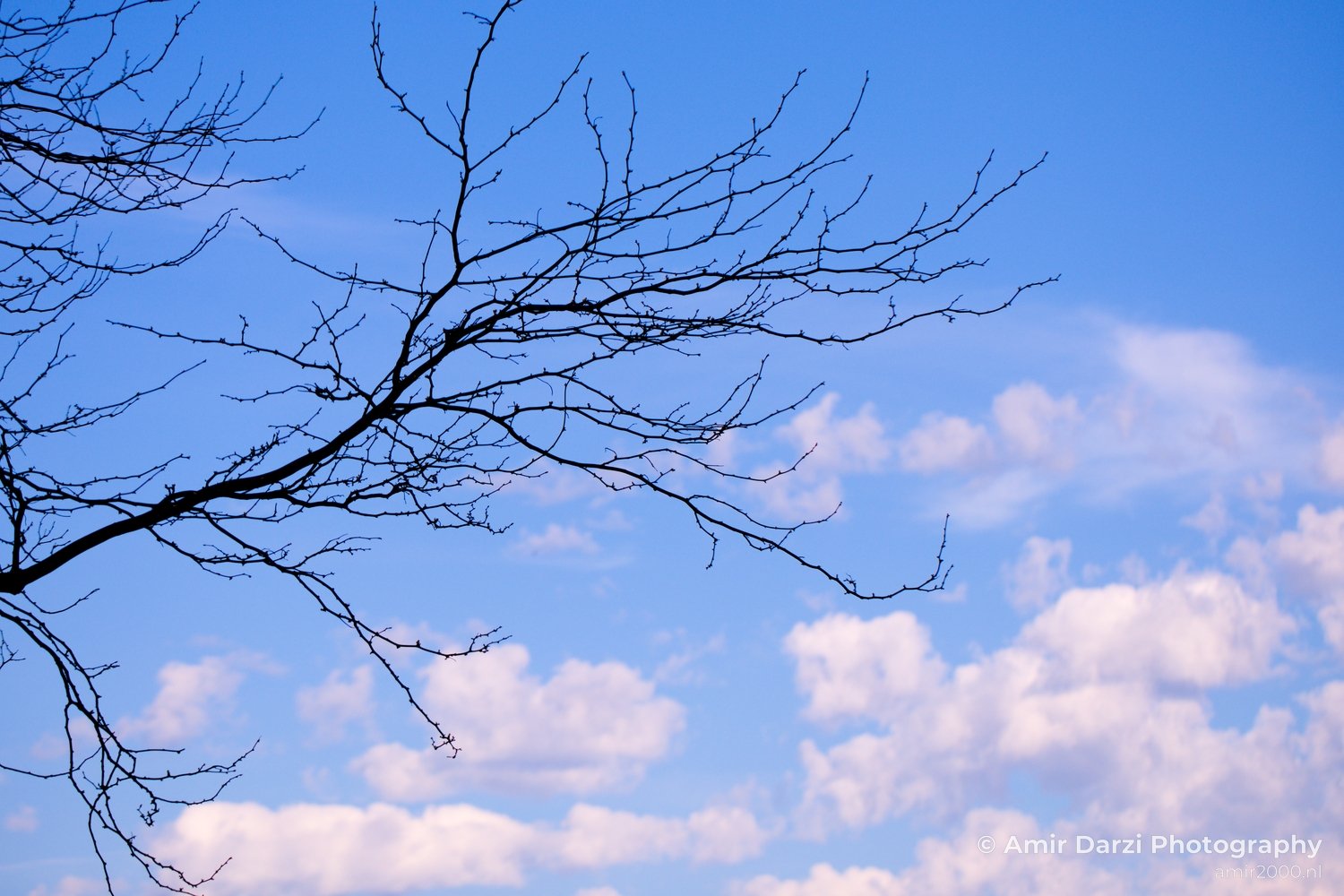 Spring colors nature Landscape in Nature Landscape Photography Photo 65