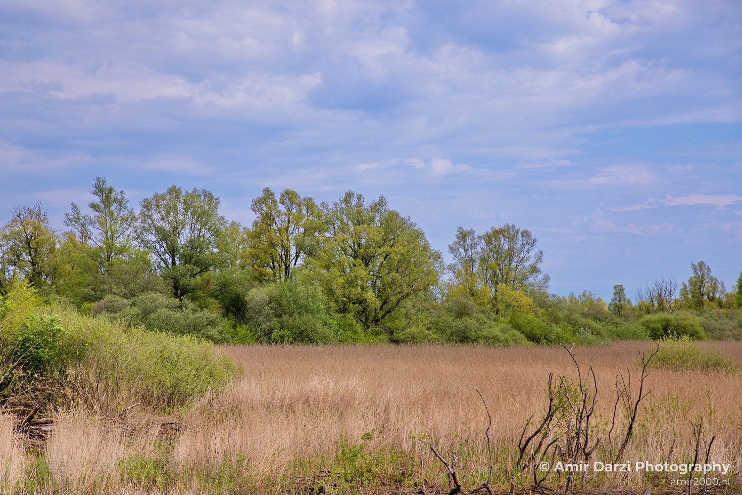 Spring colors nature Landscape in Nature Landscape Photography Photo 66
