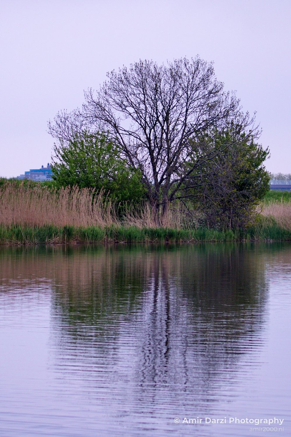 Spring colors nature Landscape in Nature Landscape Photography Photo 72