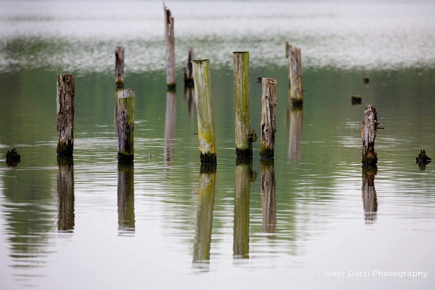 Spring colors nature Landscape in Nature Landscape Photography Photo 73