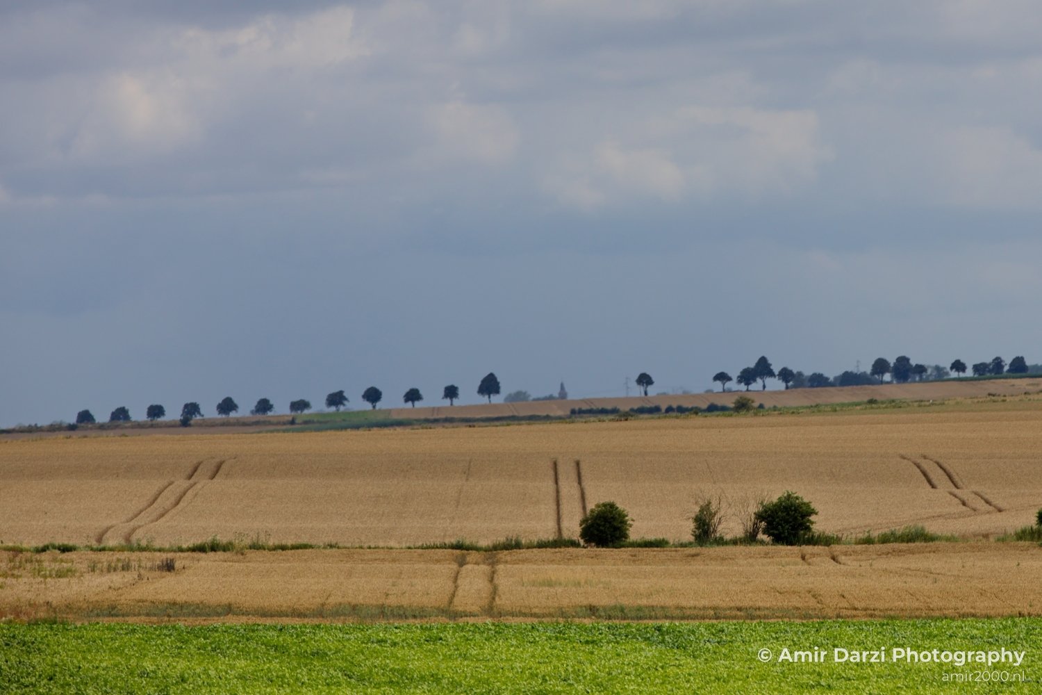 Summer road trip landscape nature in Nature Landscape Photography Photo 6