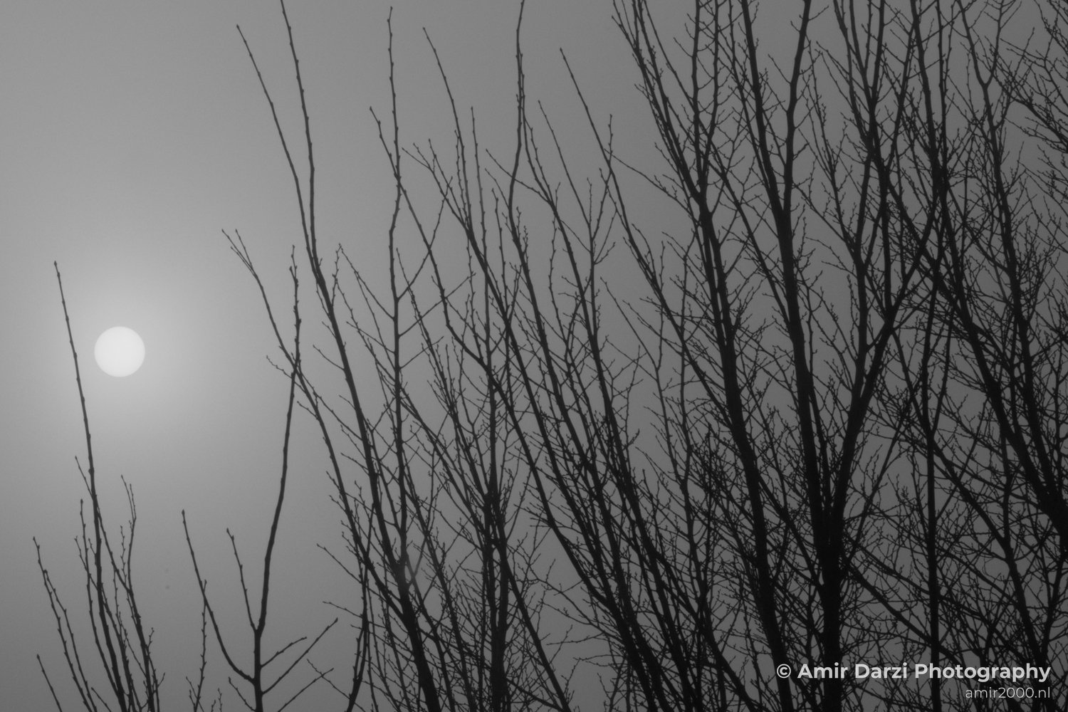 The sun behind fog winter nature Landscape in Nature Landscape Photography Photo 1