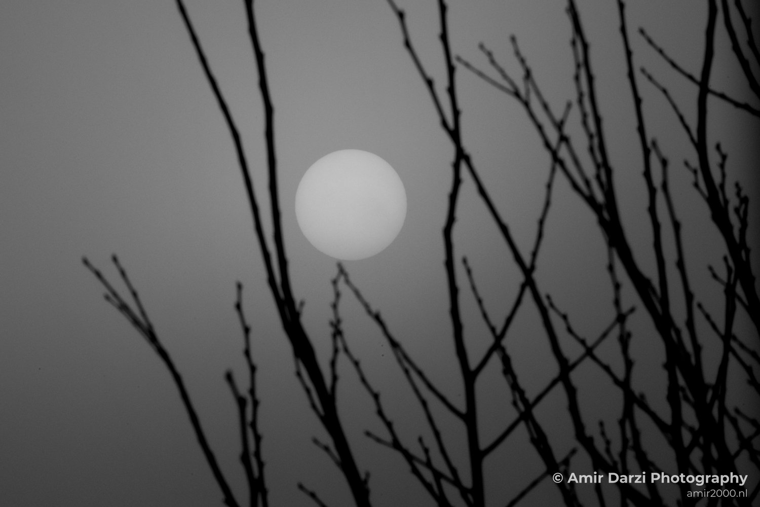 The sun behind fog winter nature Landscape in Nature Landscape Photography Photo 3
