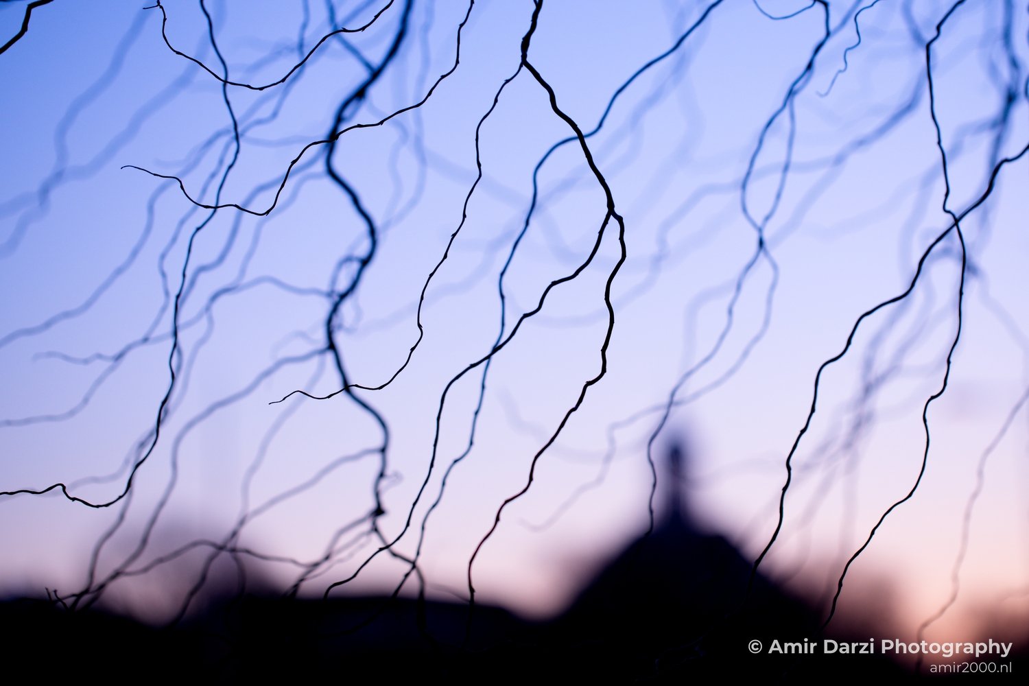 Tree branches nature sunrise Landscape in Nature Landscape Photography Photo 2