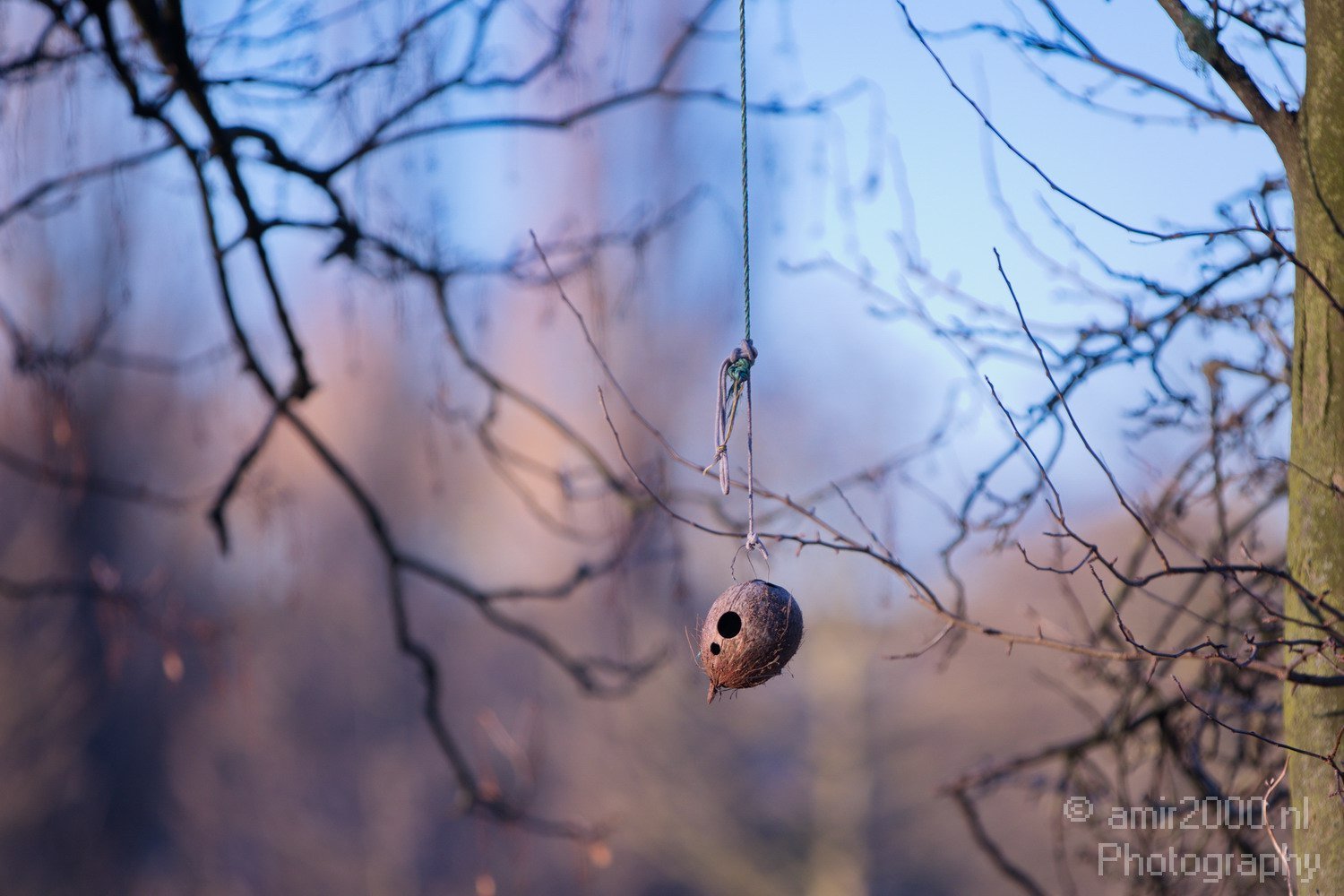 Winter scenery Amsterdam nature Netherlands Landscape in Amsterdam Netherlands Photo 22