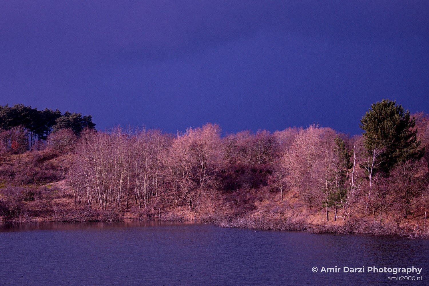 Winter scenery Oosterplas Bloemendaal Nature Landscape in Nature Landscape Photography Photo 6