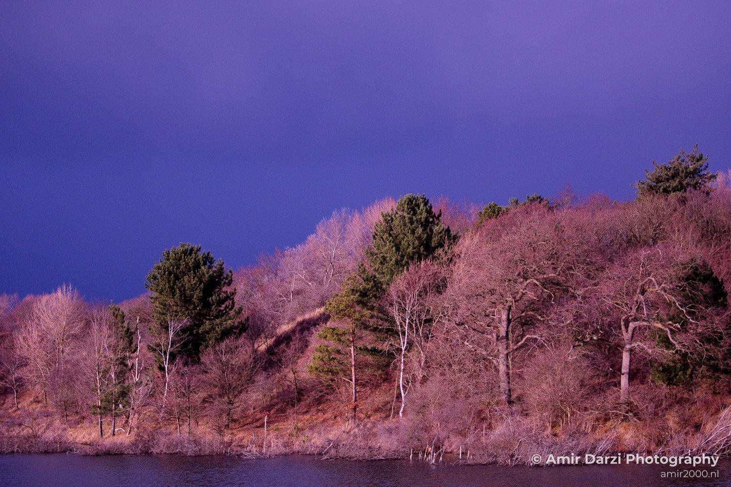 Winter scenery Oosterplas Bloemendaal Nature Landscape in Nature Landscape Photography Photo 7