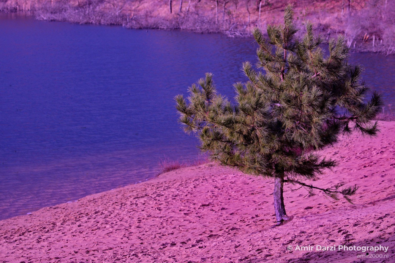 Winter scenery Oosterplas Bloemendaal Nature Landscape in Nature Landscape Photography Photo 9