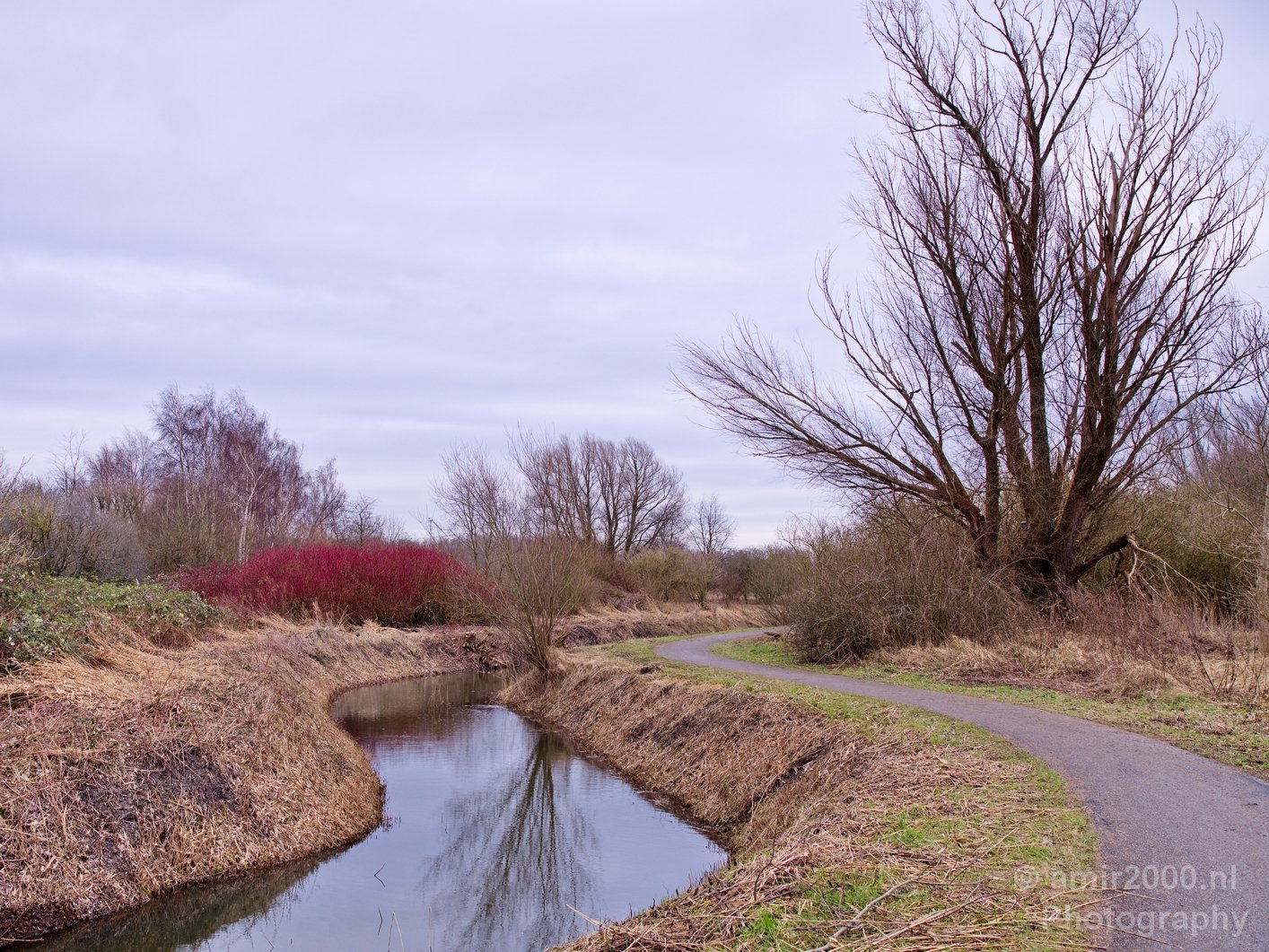 Winter scenery north holland landscape nederland in Nature Landscape Netherlands Photo 45