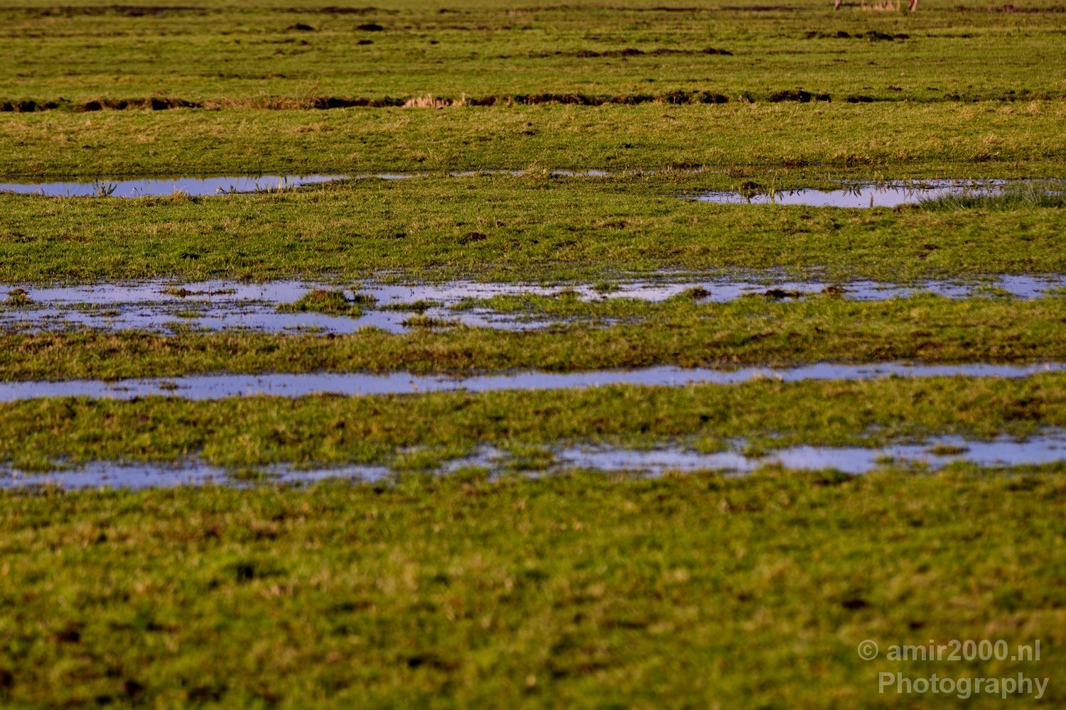 Winter scenery north holland landscape nederland in Nature Landscape Netherlands Photo 75