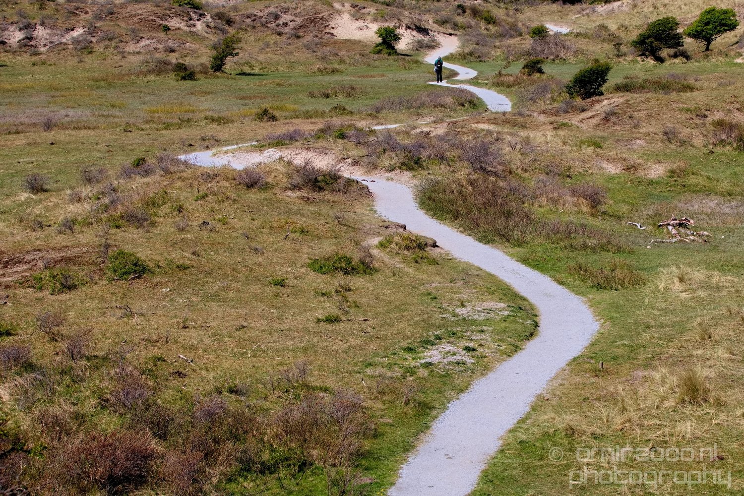 Zuid Kennemerland National Park nature landscape in Zuid Kennemerland Nature Landscape Netherlands Photo 110