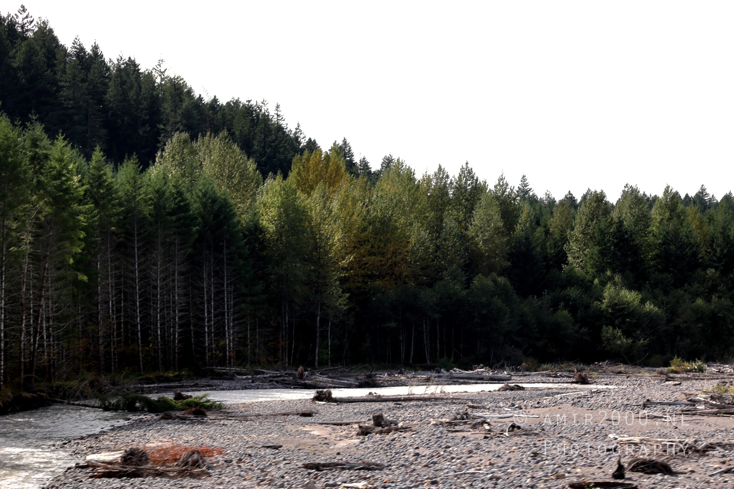 Alder Lake Landscape Photography by Amir Darzi