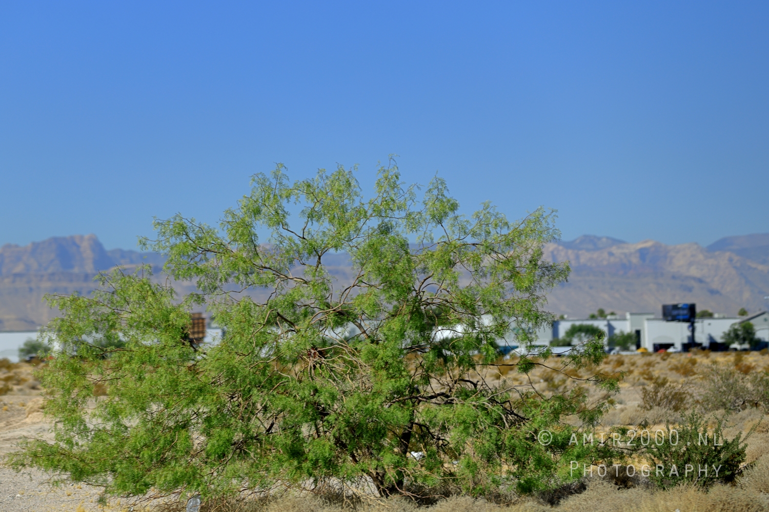 American Cities and Towns Photography by Amir Darzi