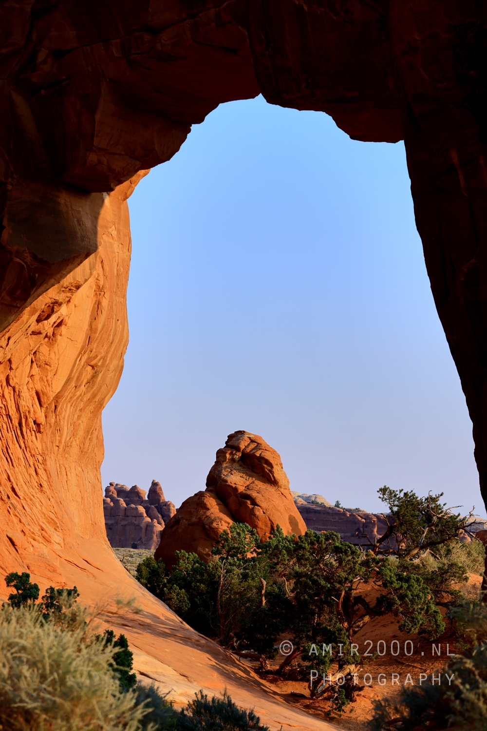 Vertical view through sandstone window to spires and juniper with evening blue sky