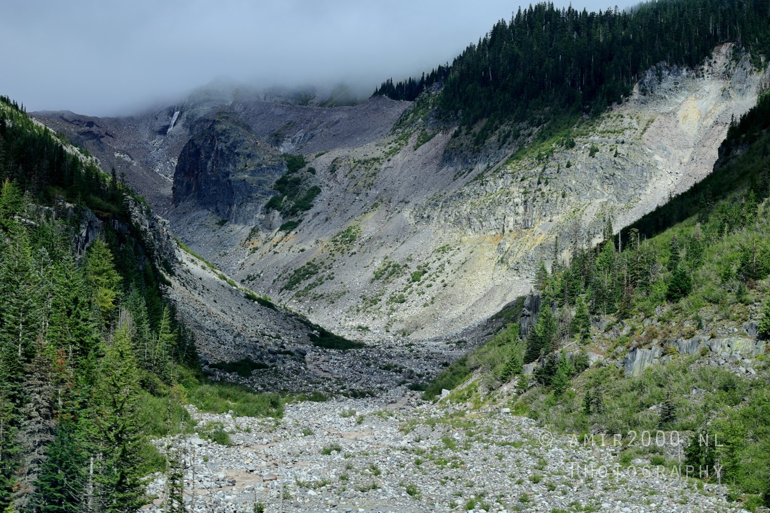 Mount Rainier National Park Washington USA landscape nature Photo 226