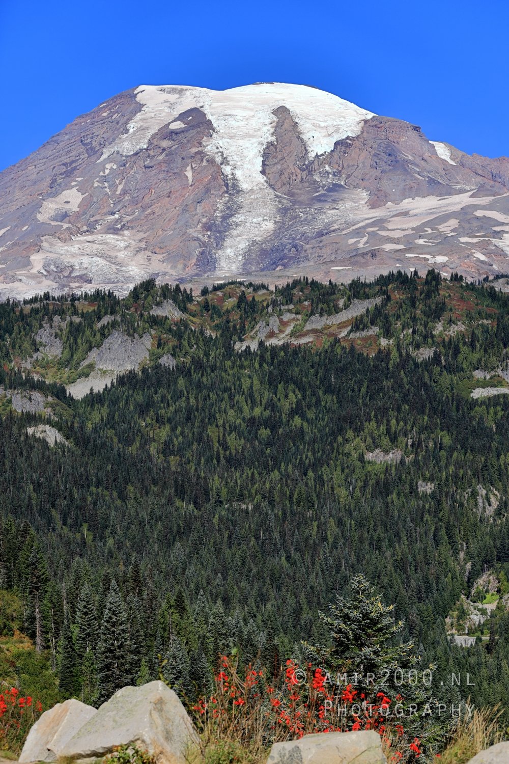 Mount Rainier National Park Washington USA landscape nature Photo 254