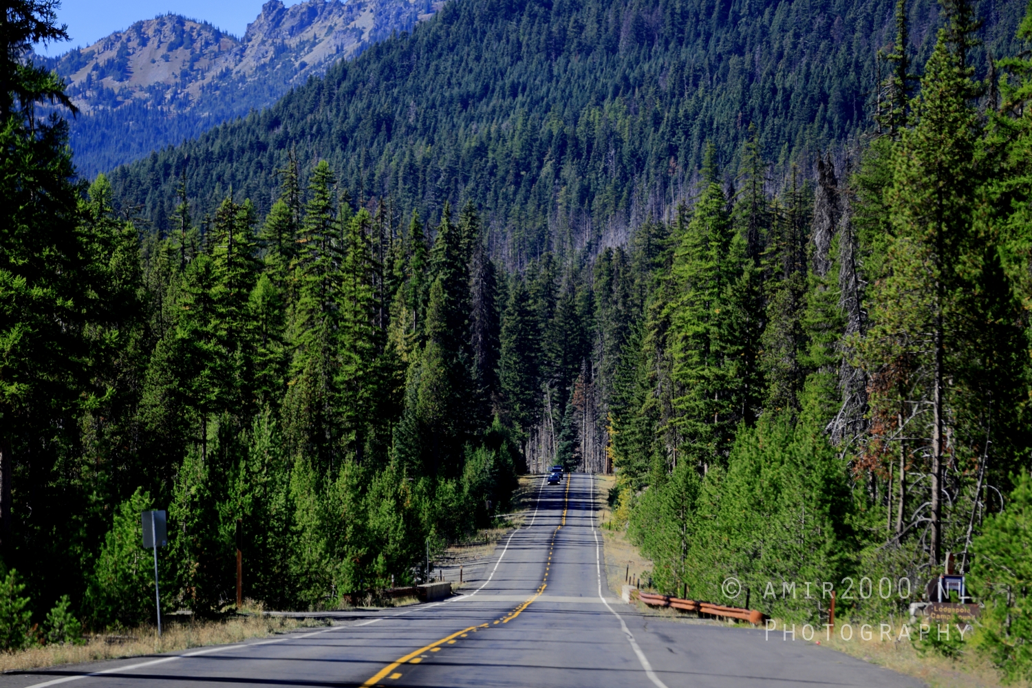 Mount Rainier Nature Photography by Amir Darzi