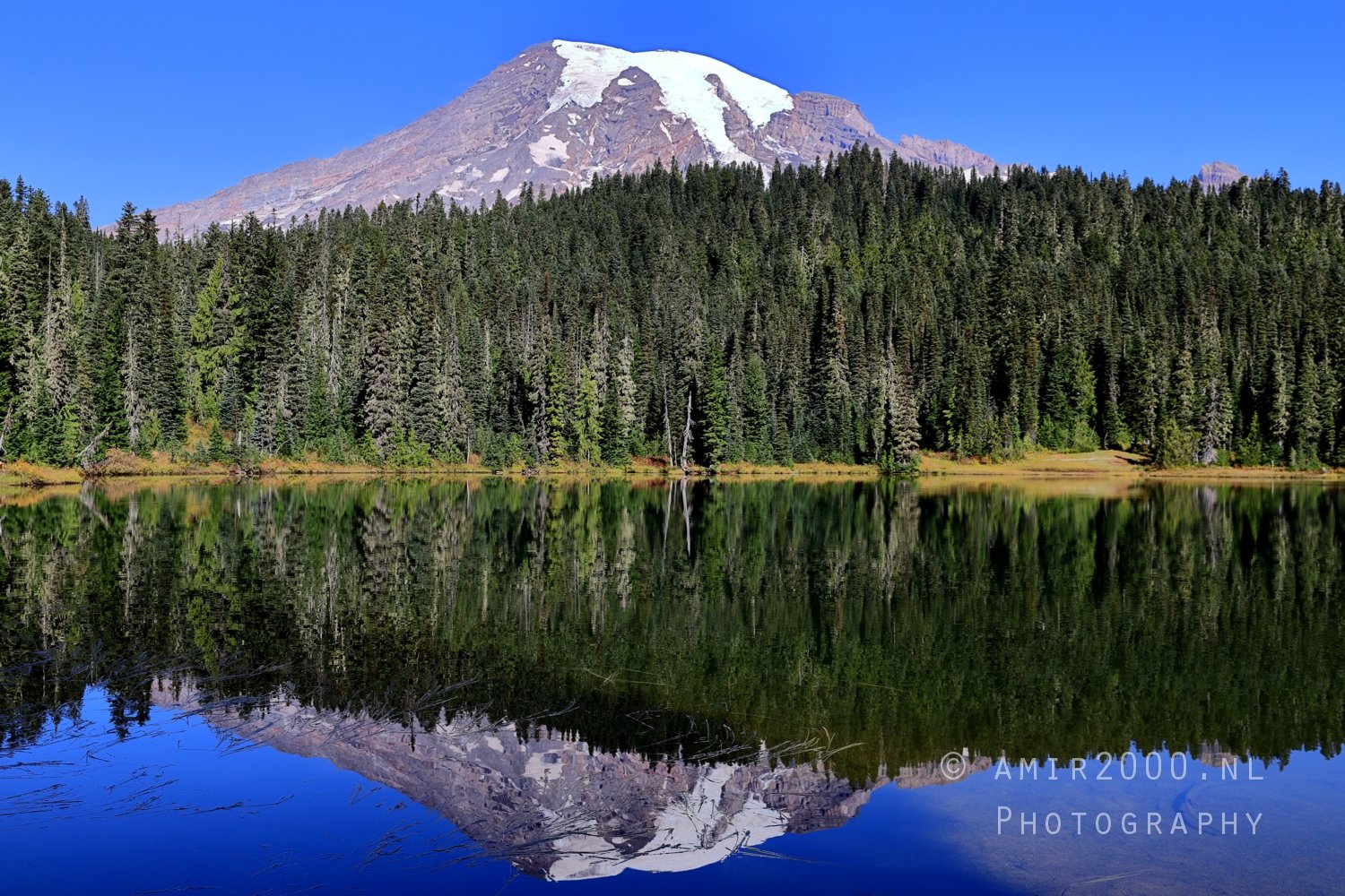 Mount Rainier National Park reflection lake Washington USA landscape nature Photo 19
