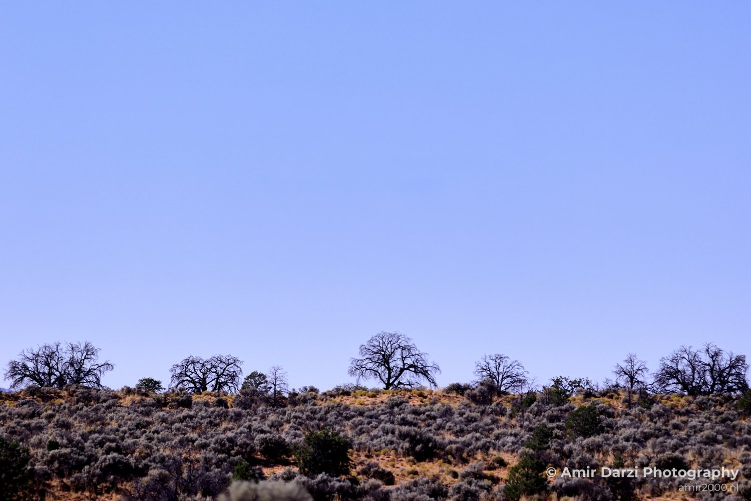 SLC Utah to Page Arizona Navajo Reservation USA Road Trip Landscape Western Nature in Nature Landscape Photo 463