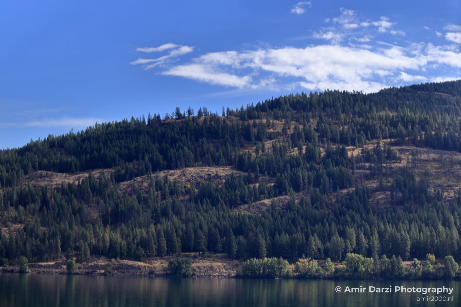 Washington Idaho Montana Wyoming USA Road Trip Landscape Western Nature in Nature Landscape Western USA Photo 32