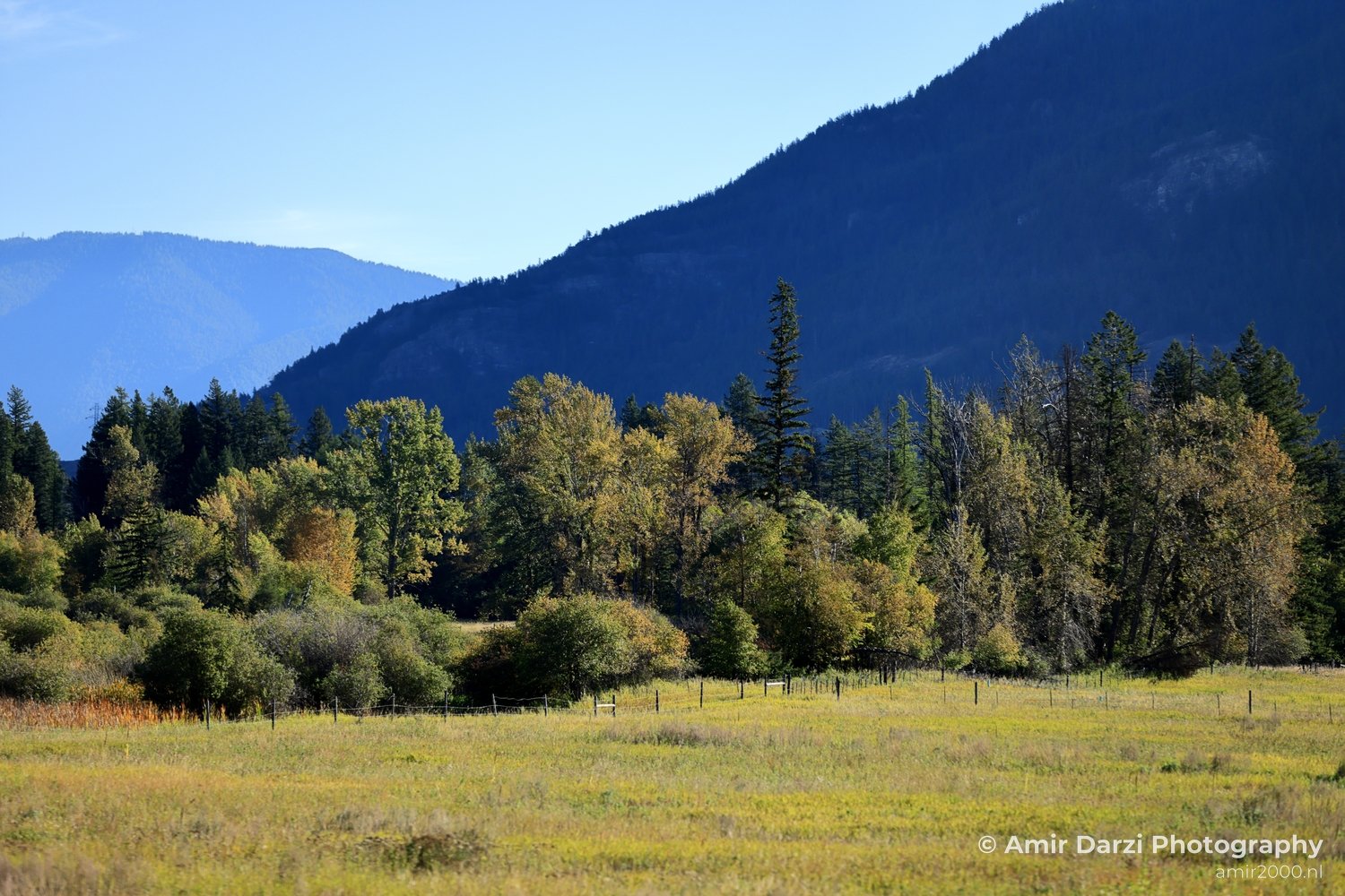 Washington Idaho Montana Wyoming USA Road Trip Landscape Western Nature in Nature Landscape Western USA Photo 49