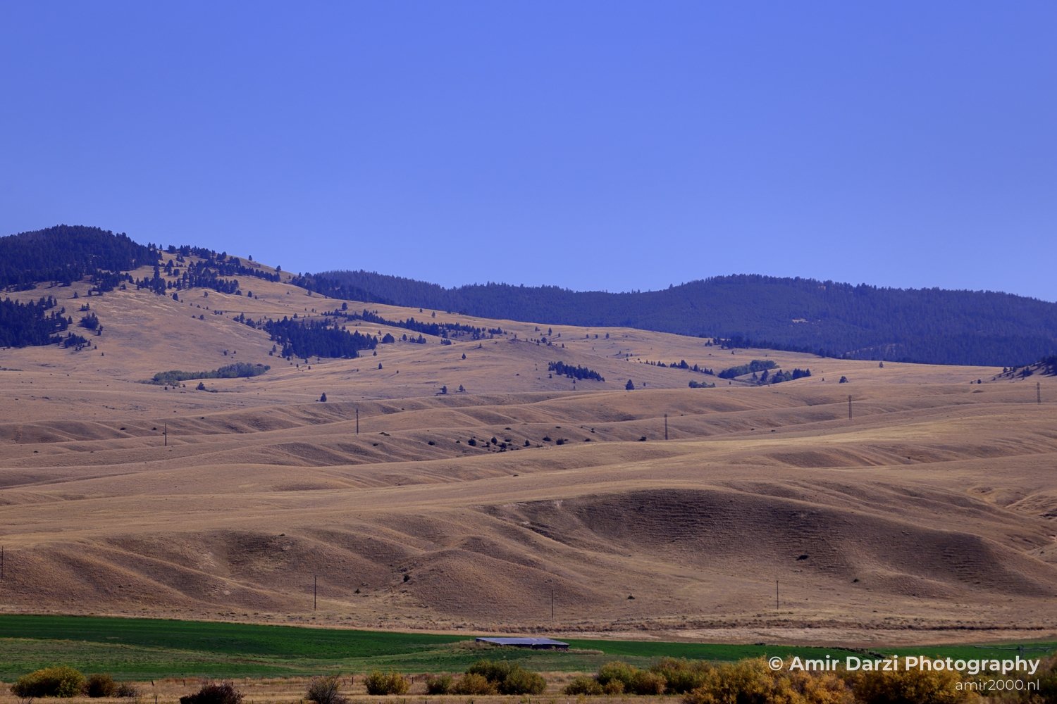 Washington Idaho Montana Wyoming USA Road Trip Landscape Western Nature in Nature Landscape Western USA Photo 99