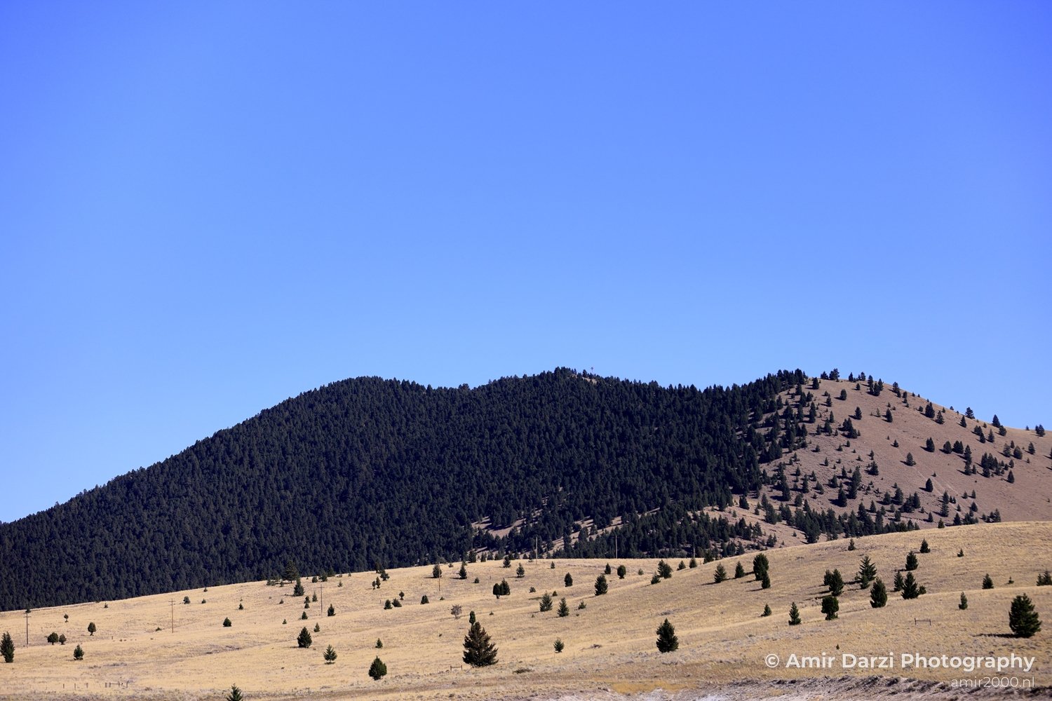 Washington Idaho Montana Wyoming USA Road Trip Landscape Western Nature in Nature Landscape Western USA Photo 108
