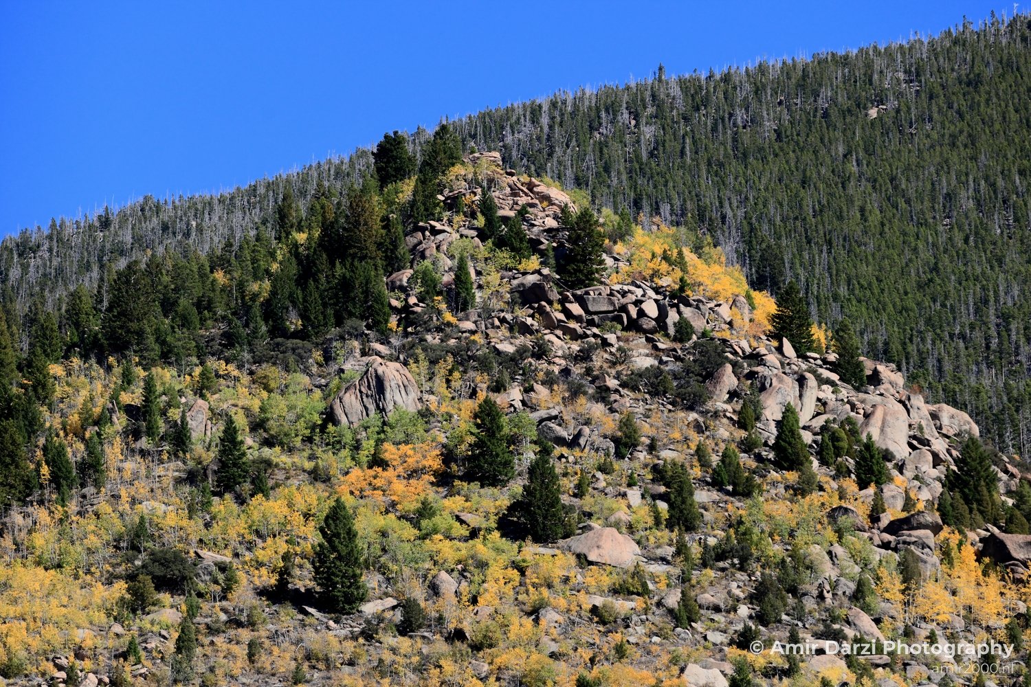 Washington Idaho Montana Wyoming USA Road Trip Landscape Western Nature in Nature Landscape Western USA Photo 113