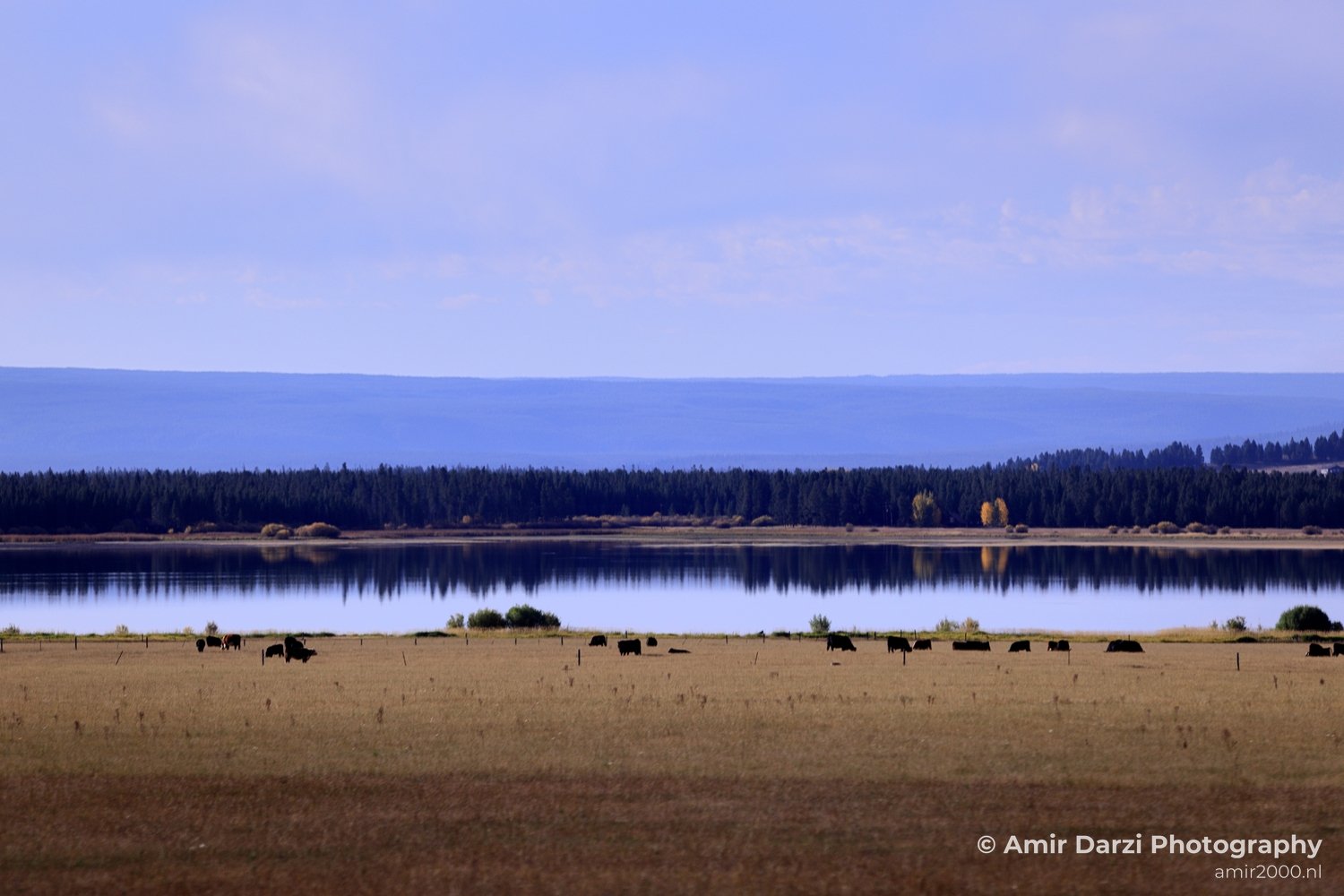 Washington Idaho Montana Wyoming USA Road Trip Landscape Western Nature in Nature Landscape Western USA Photo 132