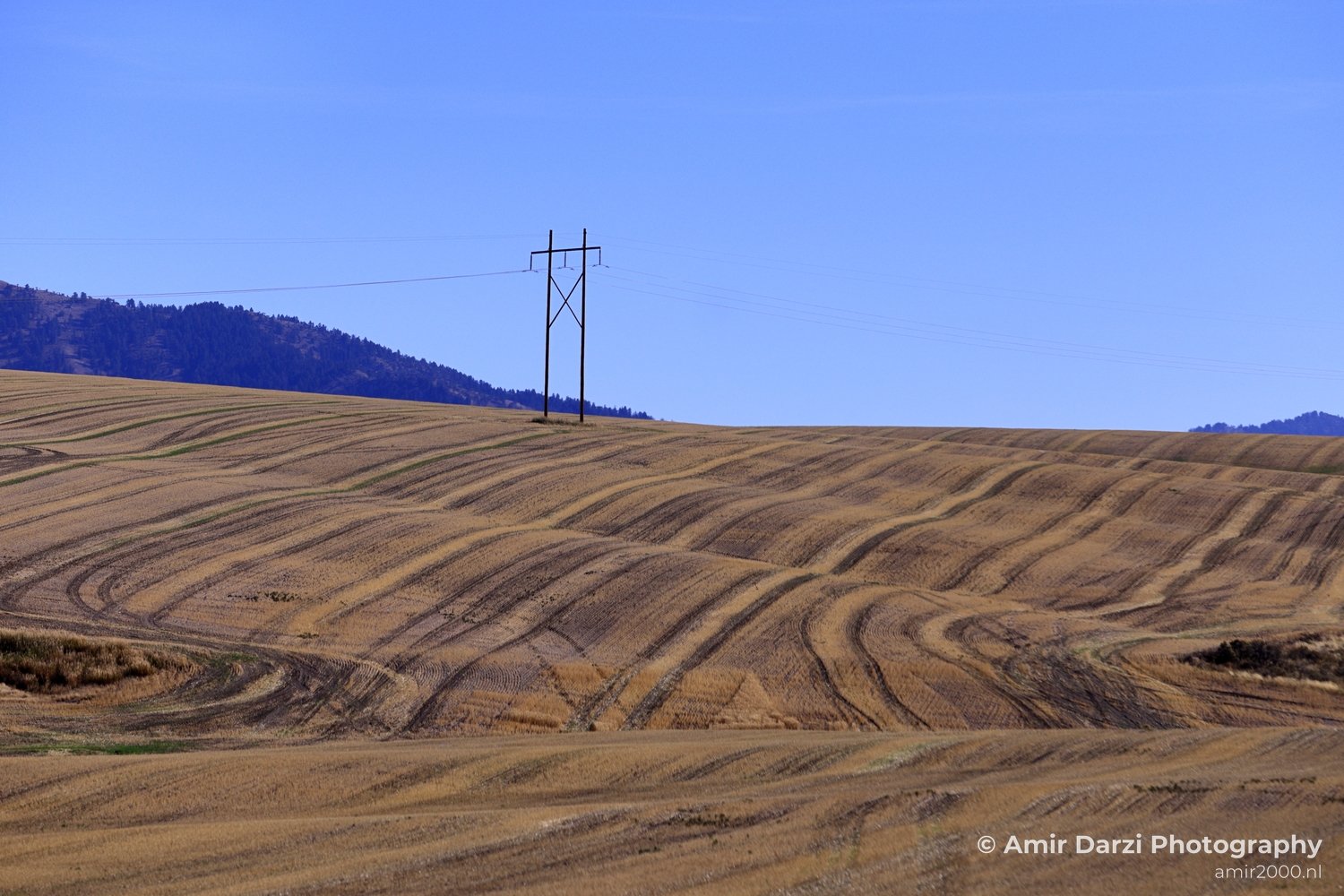 Washington Idaho Montana Wyoming USA Road Trip Landscape Western Nature in Nature Landscape Western USA Photo 162