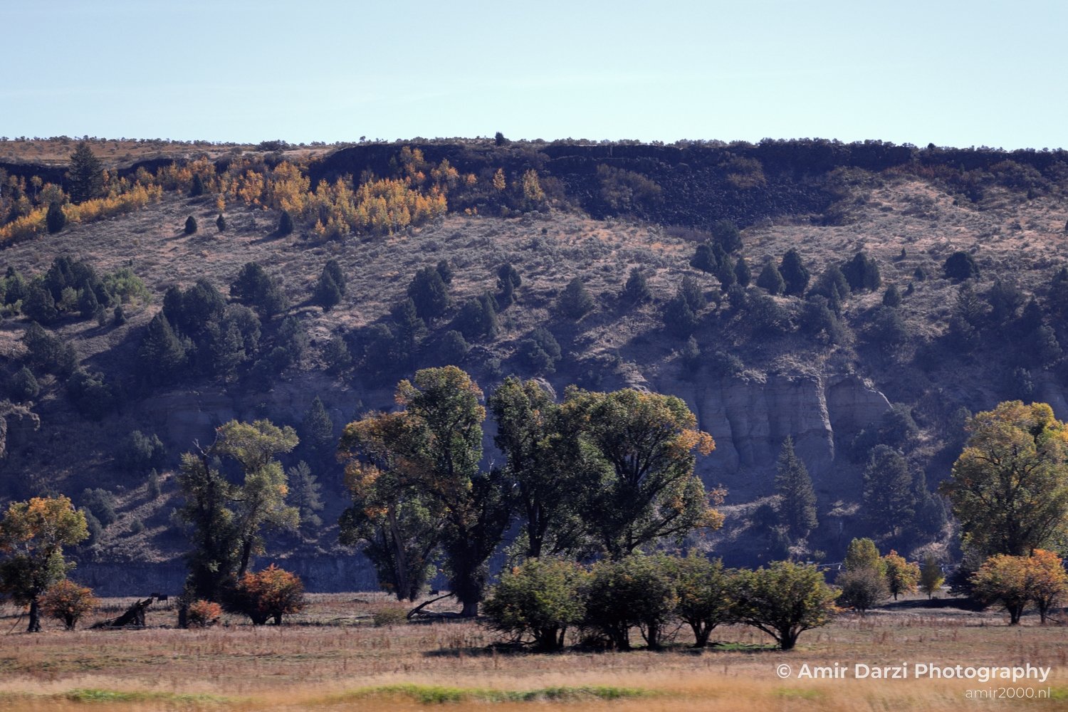 Washington Idaho Montana Wyoming USA Road Trip Landscape Western Nature in Nature Landscape Western USA Photo 169