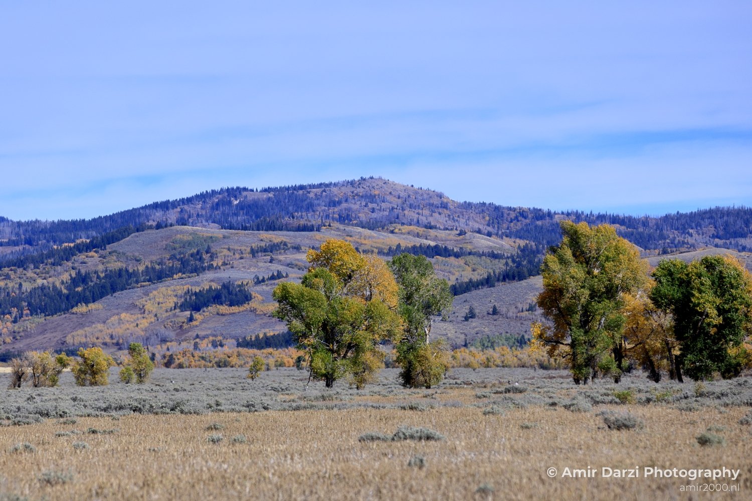 Grand Teton National Park Wyoming USA landscape nature Yellowstone And in Yellowstone Grand Teton Wyoming USA Photo 165