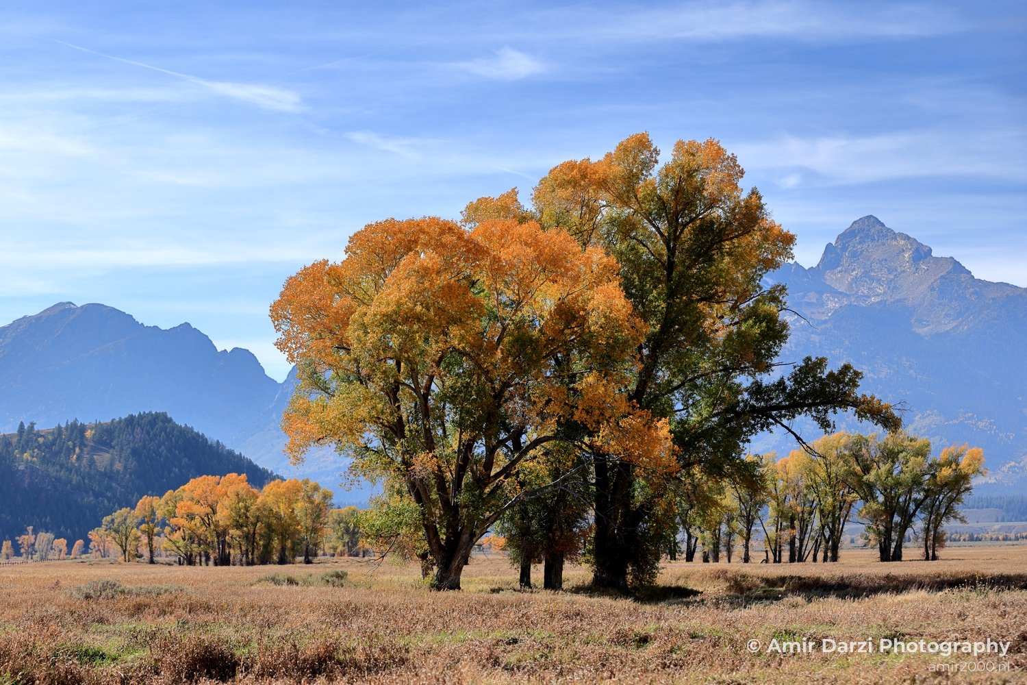 Grand Teton National Park Wyoming USA landscape nature Yellowstone And in Yellowstone Grand Teton Wyoming USA Photo 173