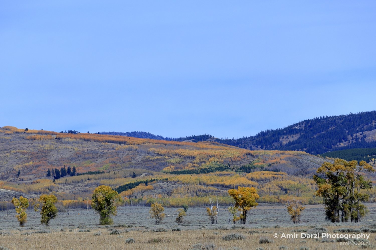 Grand Teton National Park Wyoming USA landscape nature Yellowstone And in Yellowstone Grand Teton Wyoming USA Photo 177