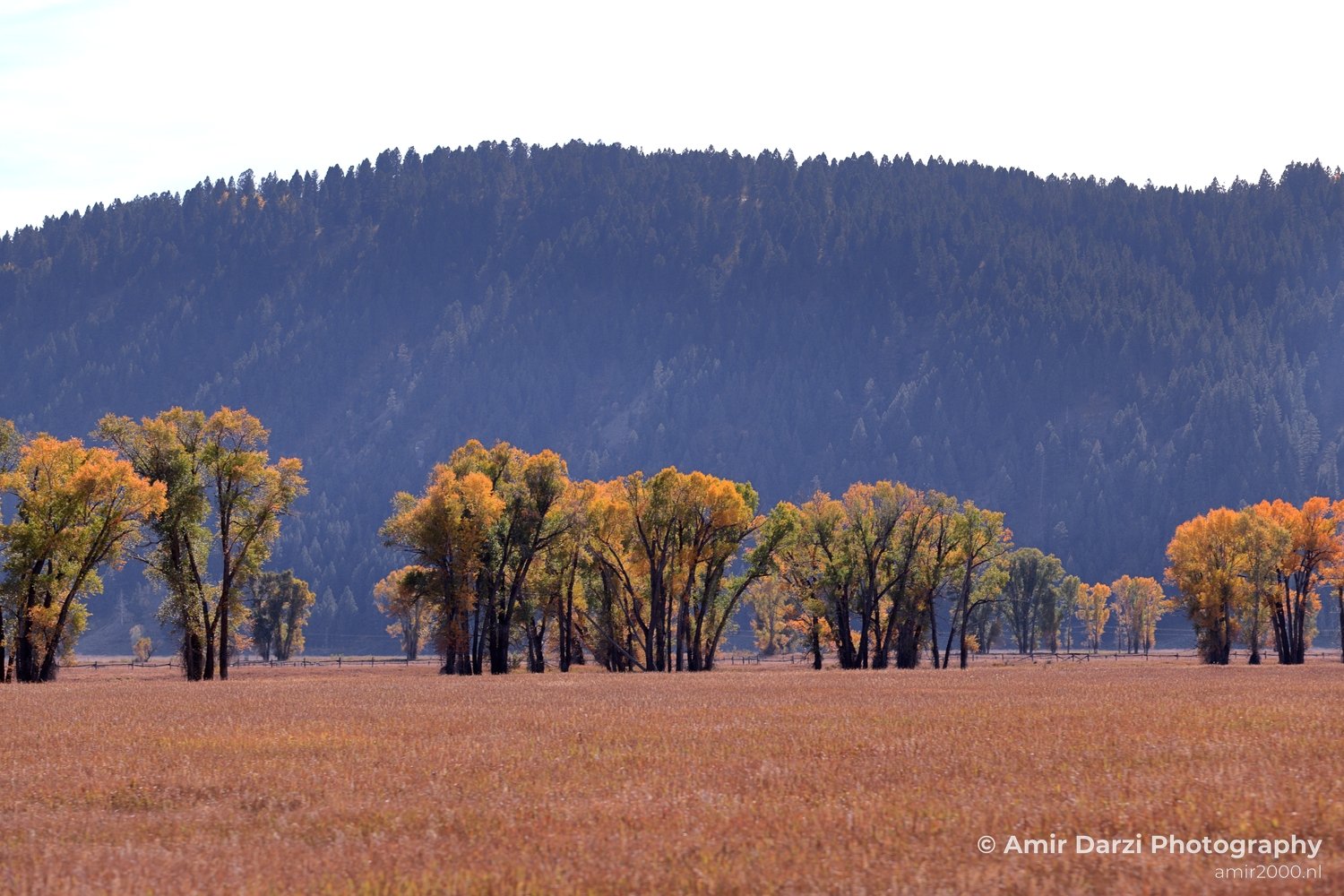 Grand Teton National Park Wyoming USA landscape nature Yellowstone And in Yellowstone Grand Teton Wyoming USA Photo 191