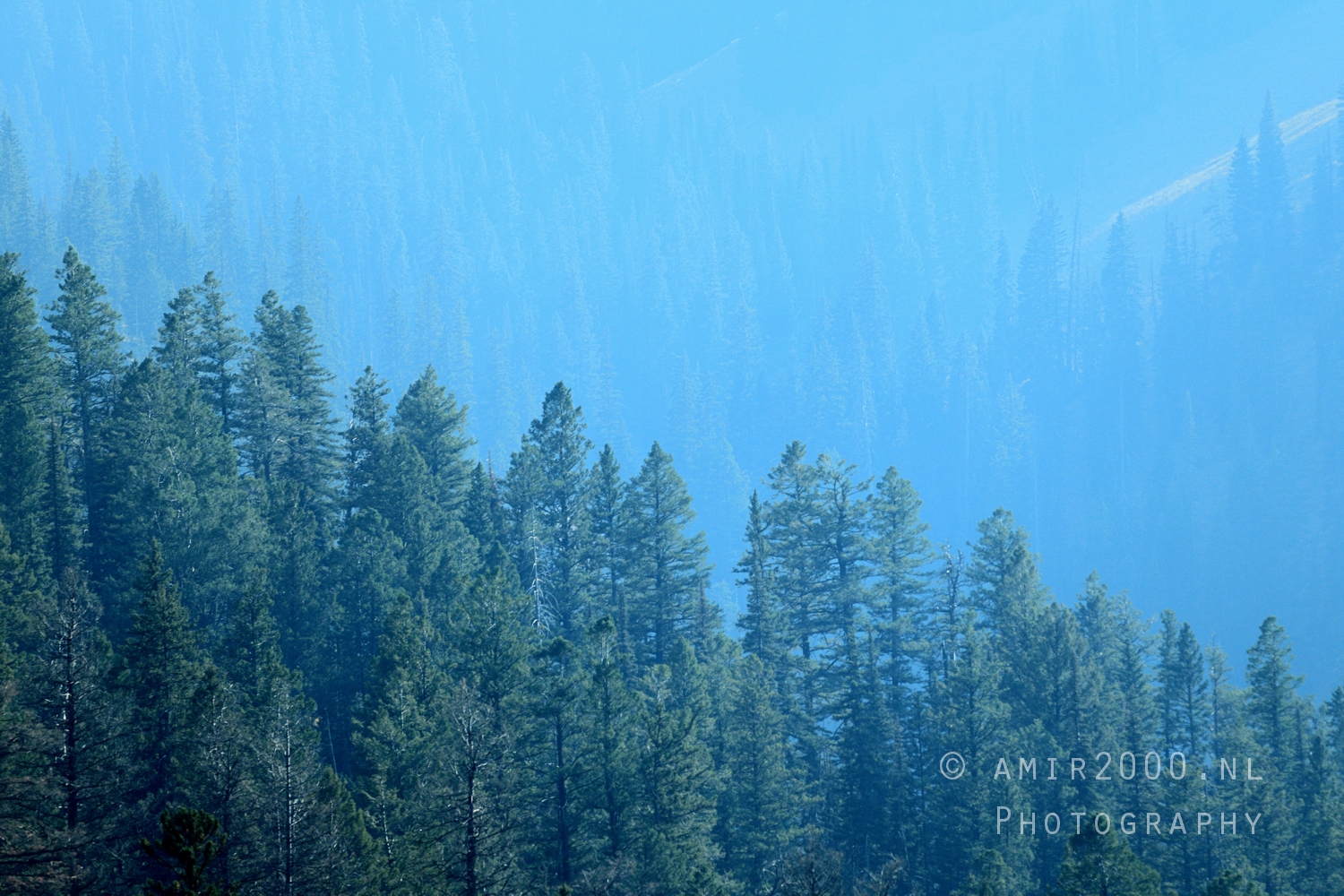 Yellowstone and Grand Teton National Parks by Amir Darzi