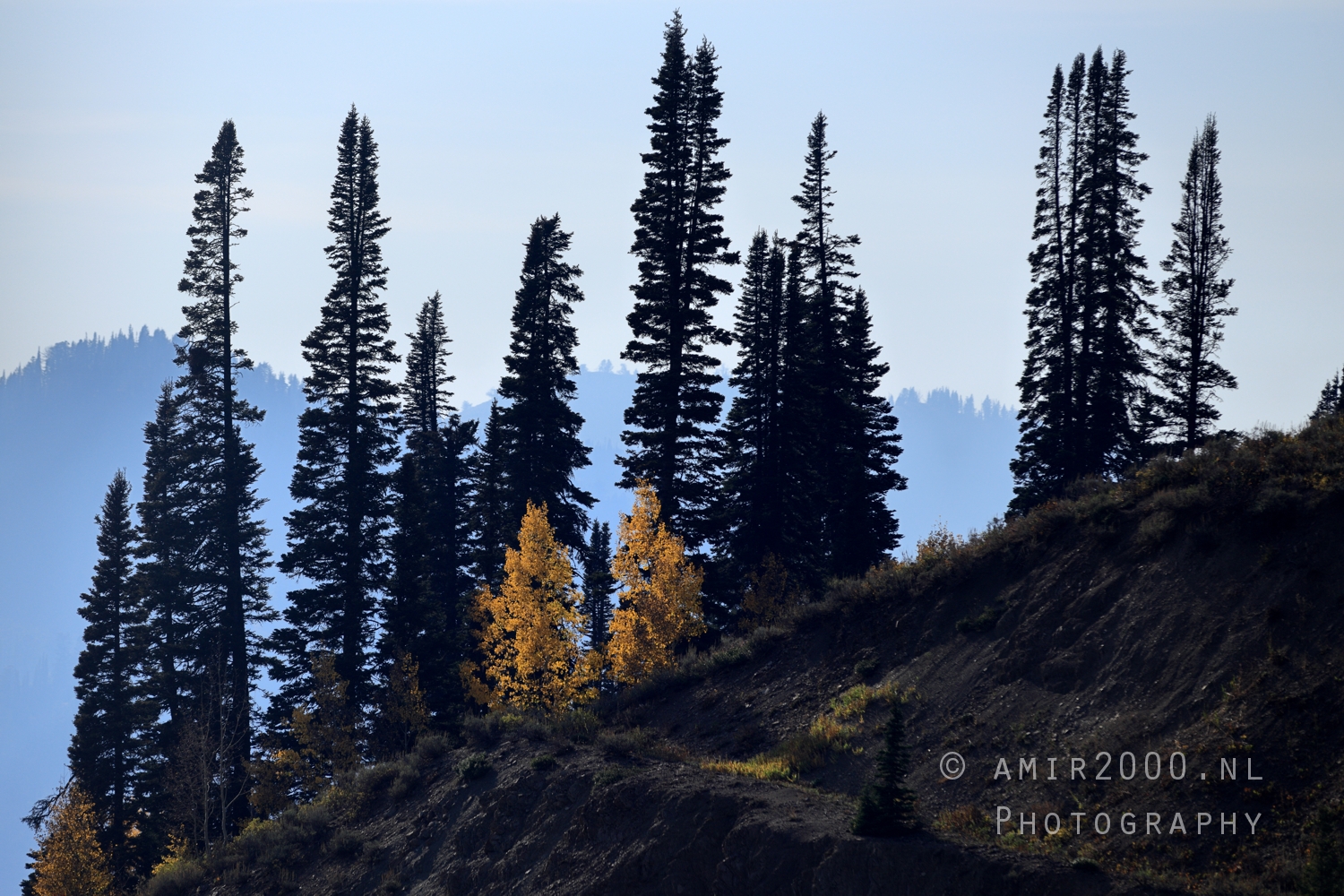 Yellowstone & Grand Teton – Parks & Wildlife | Amir Darzi