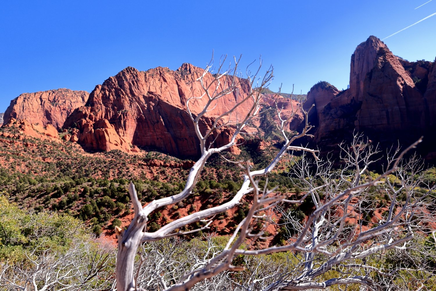 Zion National Park Canyon Utah USA landscape nature Photo 47