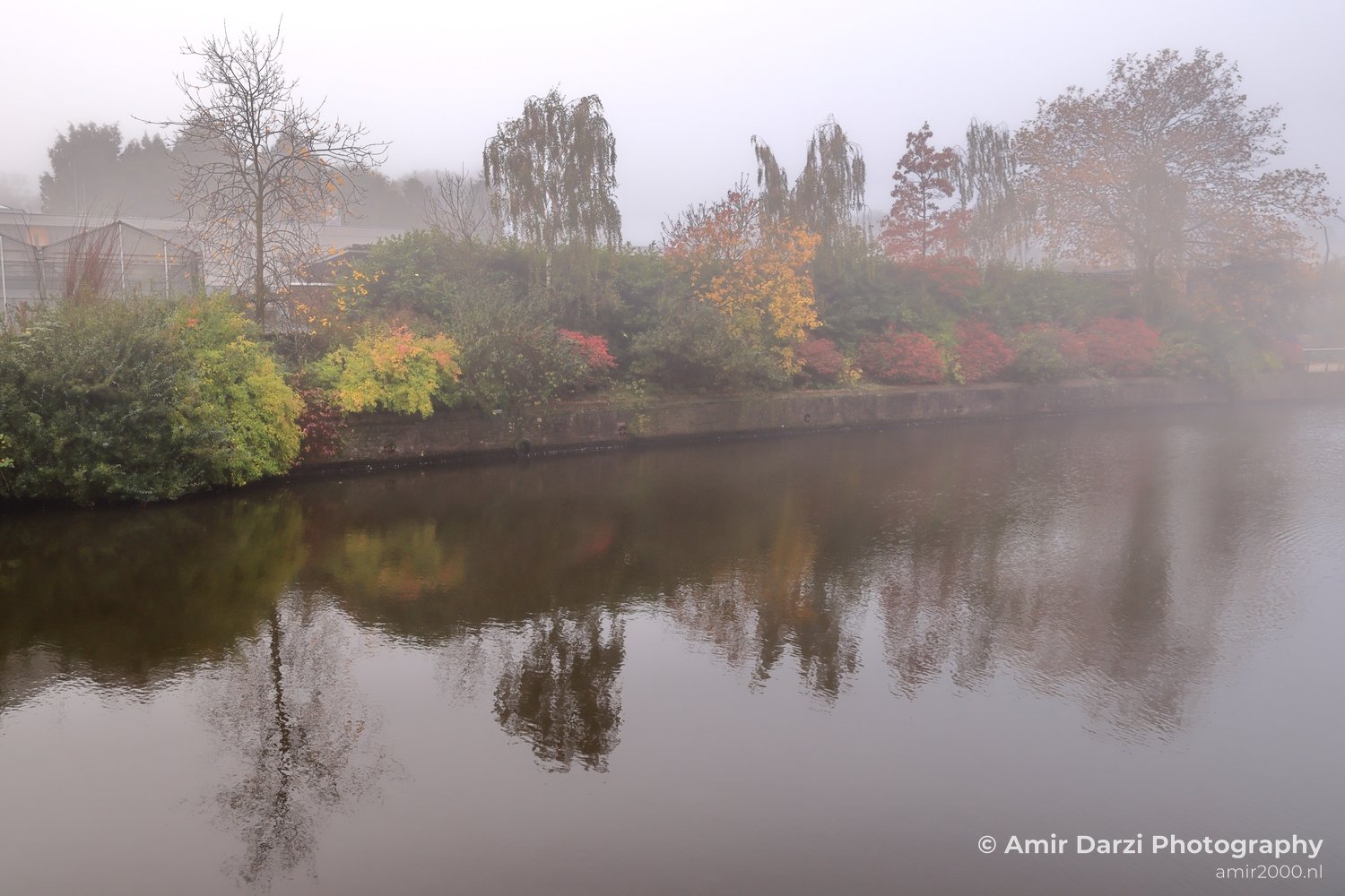 Artis Scenic canal foggy autumn vibes Amsterdam fall Urban Street Cityscape Netherlands in Amsterdam Netherlands
