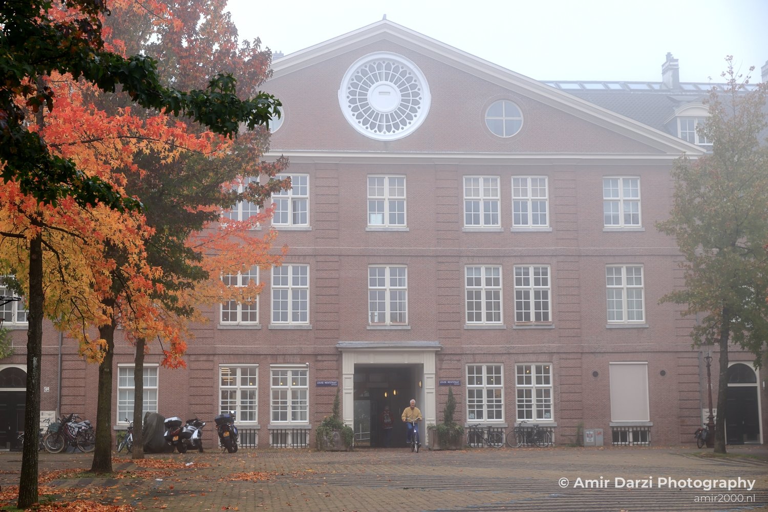 Sarphatistraat scene autumn trees Amsterdam fall Urban Street Cityscape Netherlands in Amsterdam Netherlands